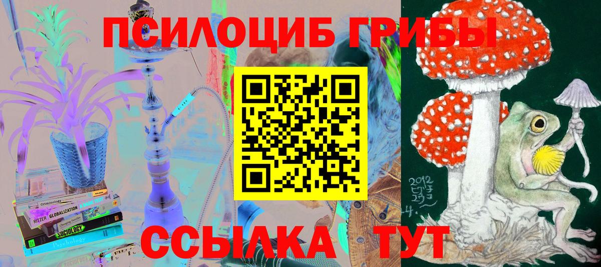 Галлюциногенные грибы Psilocybine cubensis  Вход с VPN  Ставрополь 